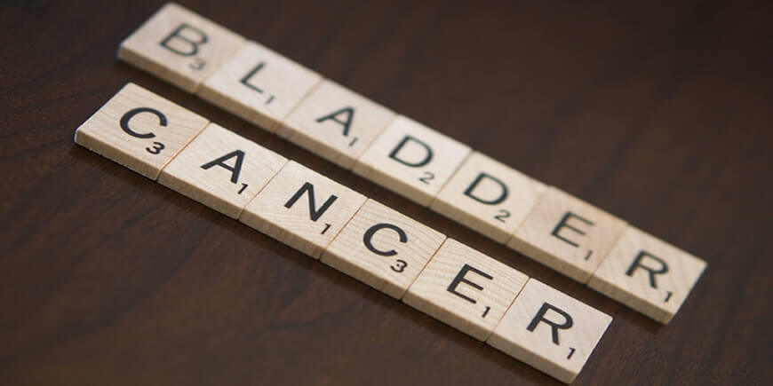 Bladder Cancer & Medicinal Mushrooms