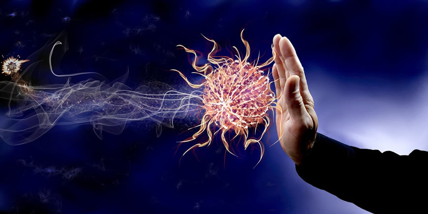 Immunodeficiency And Medicinal Mushrooms By Dr Alla Of MediMushrooms International Ltd In NZ