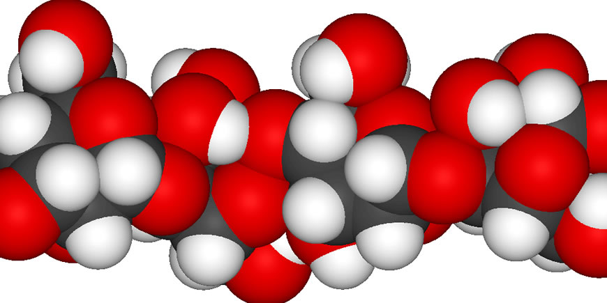 Beta Glucans Cellulose Mushroom Properties By Dr Alla Of MediMushrooms International Ltd In NZ