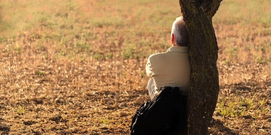 Male Menopause (Male Climacteric) & Medicinal Mushrooms